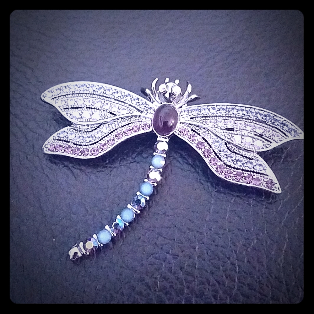 Dragonfly pin